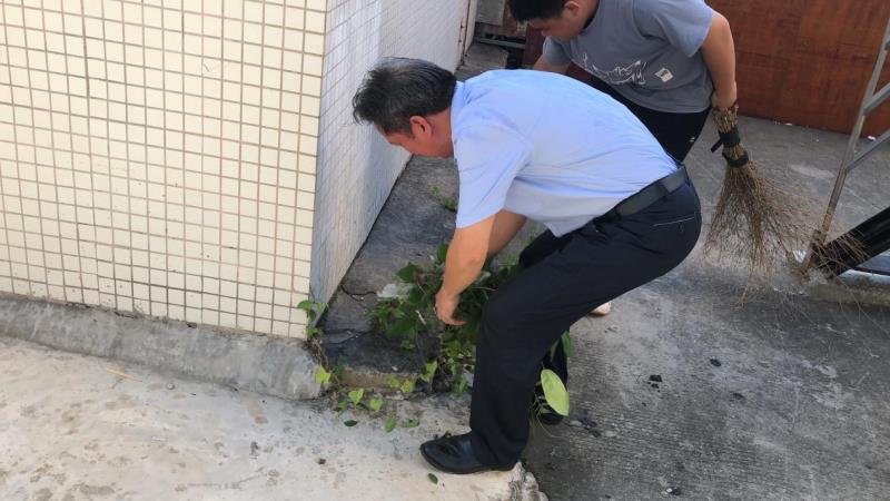 湛江市财政职业技术学校开展劳动教育活动