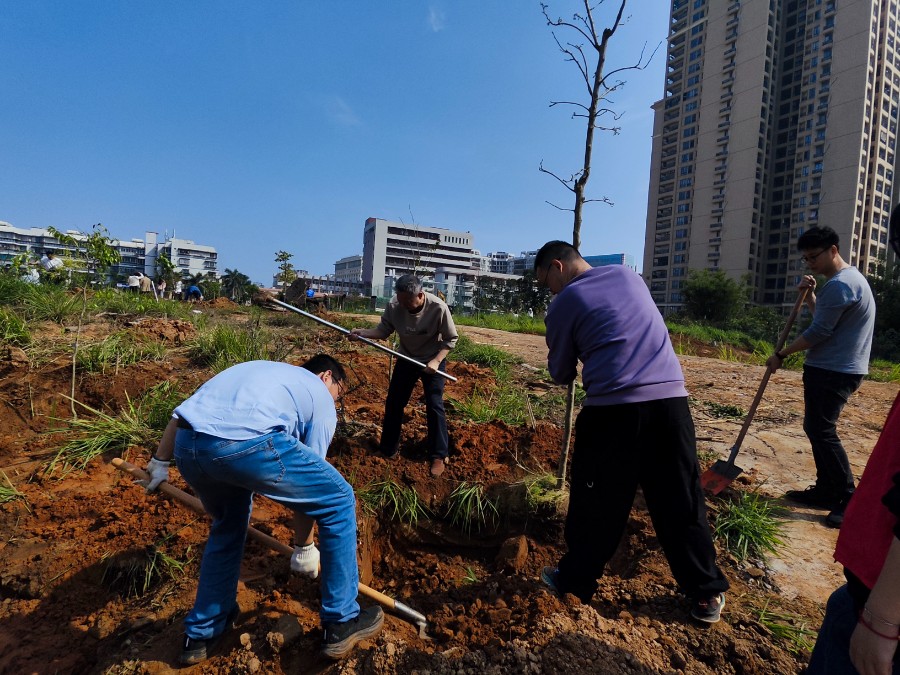 春日栽新苗 绿韵满校园&mdash;&mdash;湛江开放大学开展植树节植树活动