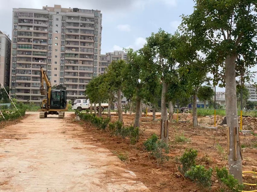 湛江开放大学植树节系列植树活动圆满落幕